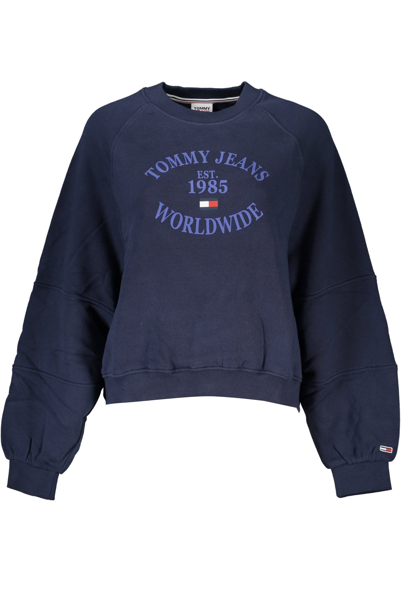 DW0DW16137_BLC87 – Blauer Damenpulli: Langarm, Rundhals, gebürstet, Baumwolle, Logo-Druck – Größe: 2XS, XS, L – Farbe: Blu